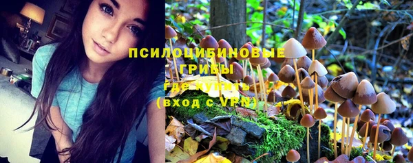 2c-b Бронницы