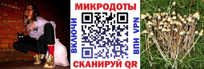 Псилоцибиновые грибы прущие грибы  ОМГ ОМГ сайт  Чита 